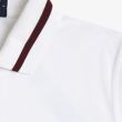 White / Maroon